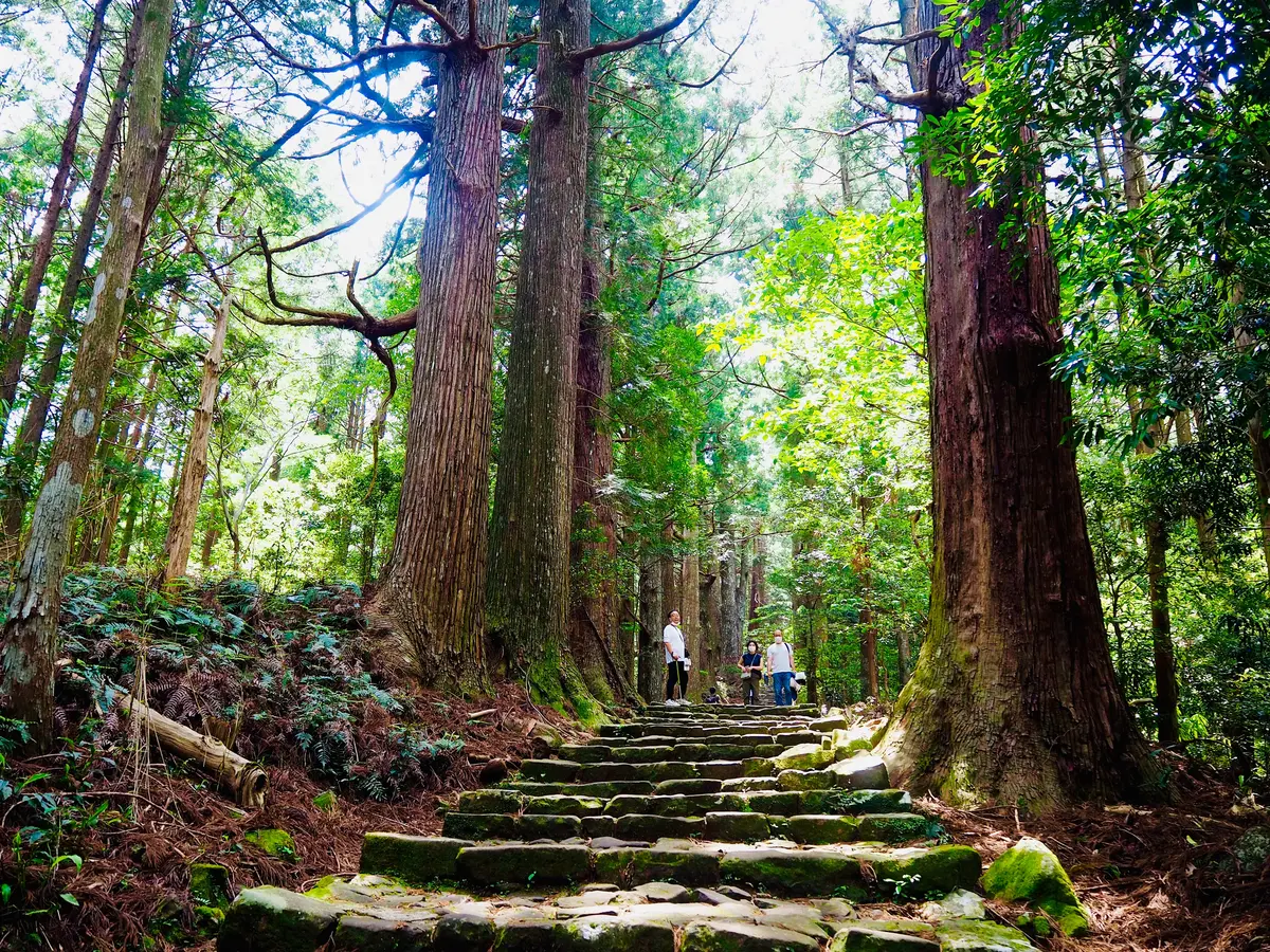 世界遺産のあの“道