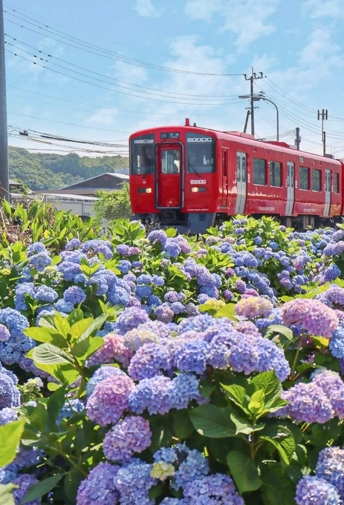 【熊本観光】日本で一番フォトジェニックなの画像_3