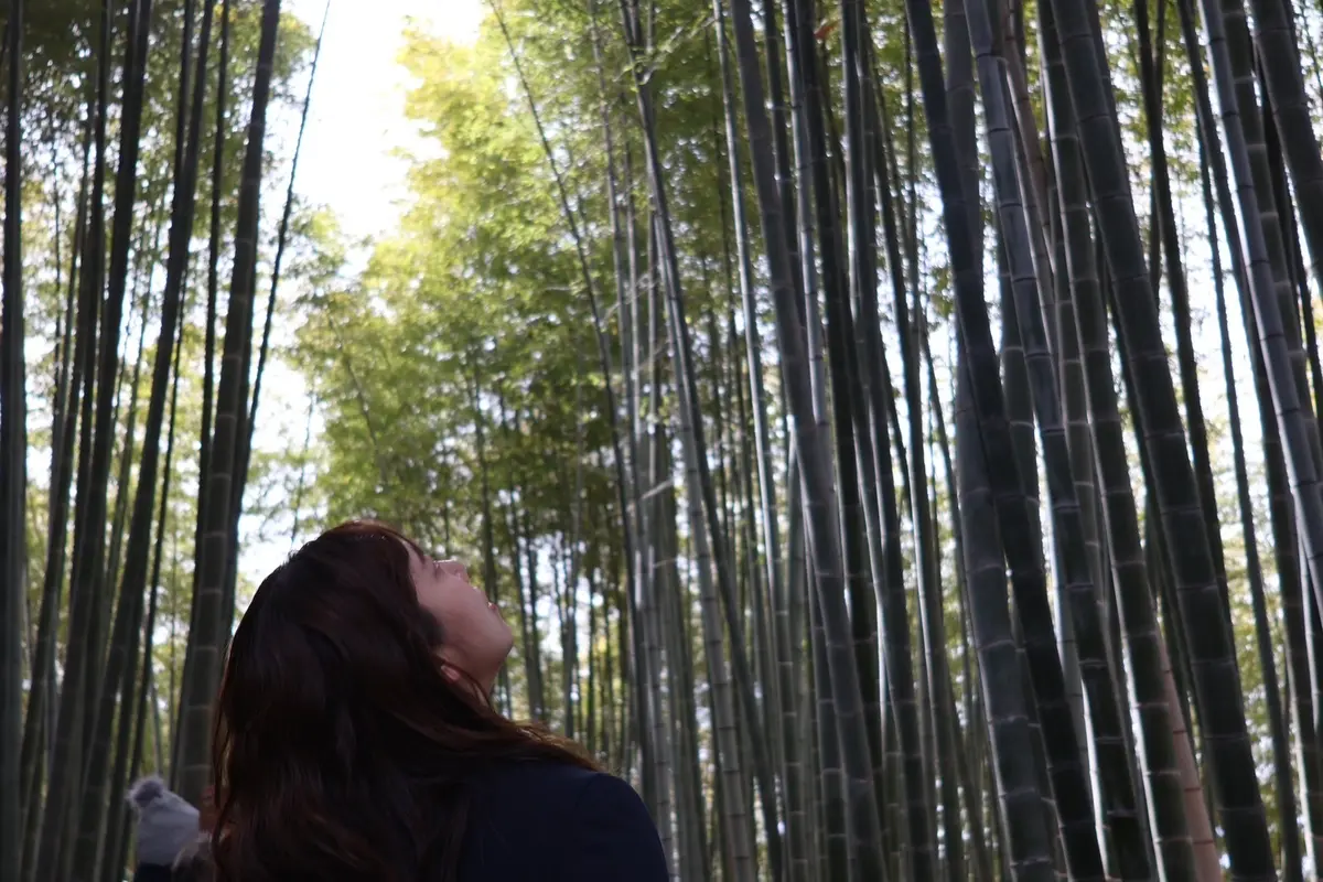 【第６期スタート】No498 meです！の画像_3