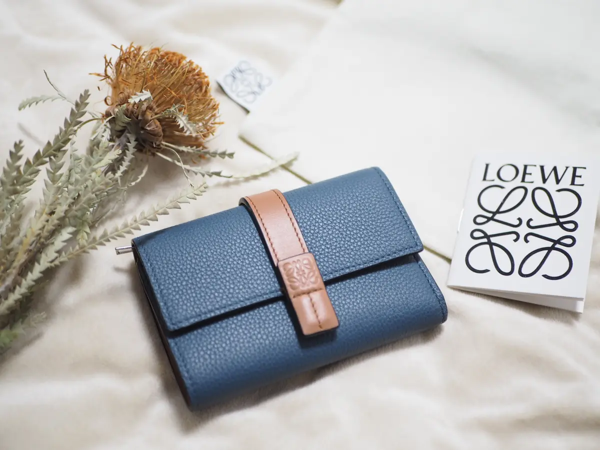 LOEWE♡ミニ財布-