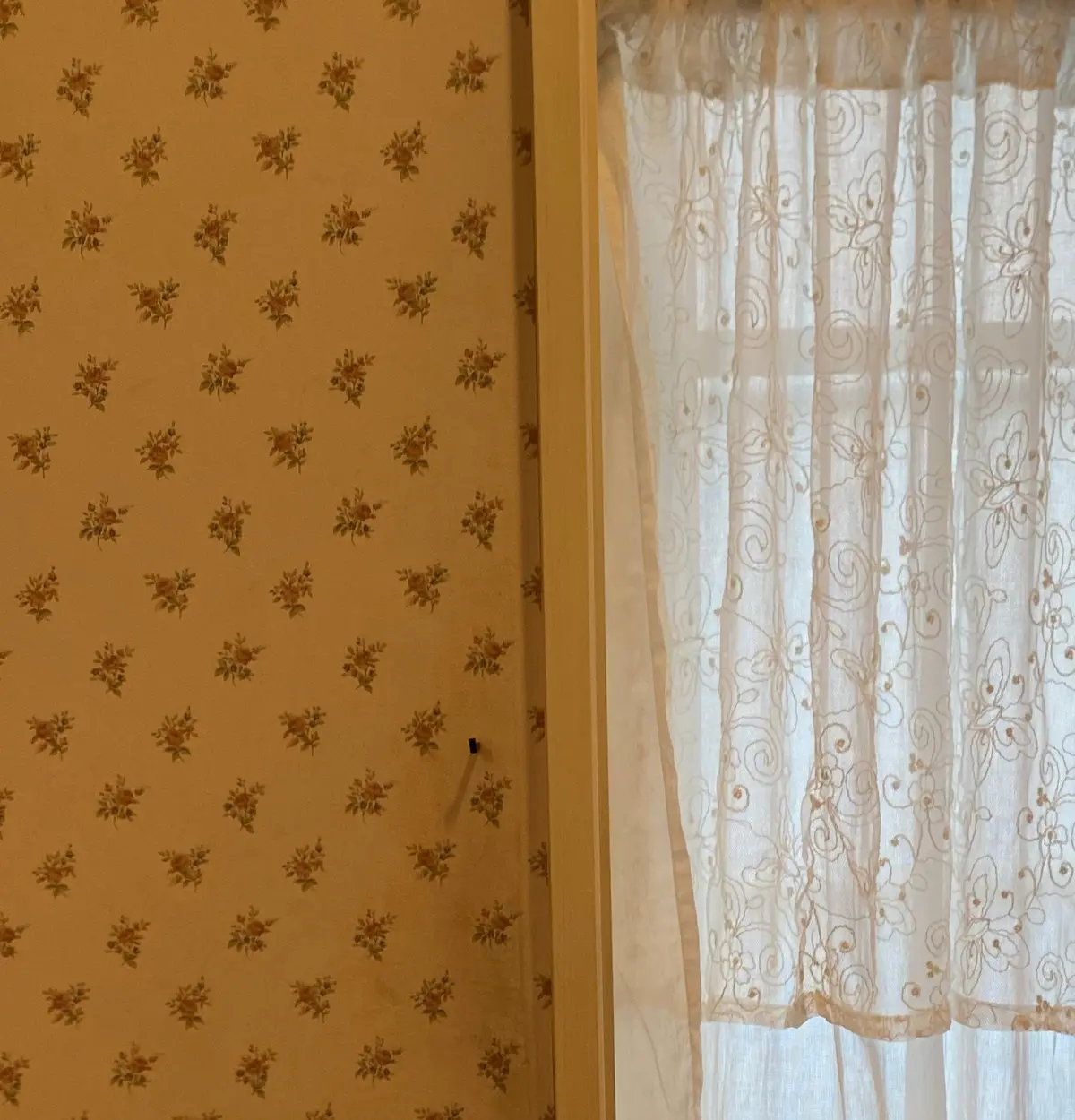 【茨城┊︎カフェ】茨城にフレンチガーリーの画像_6