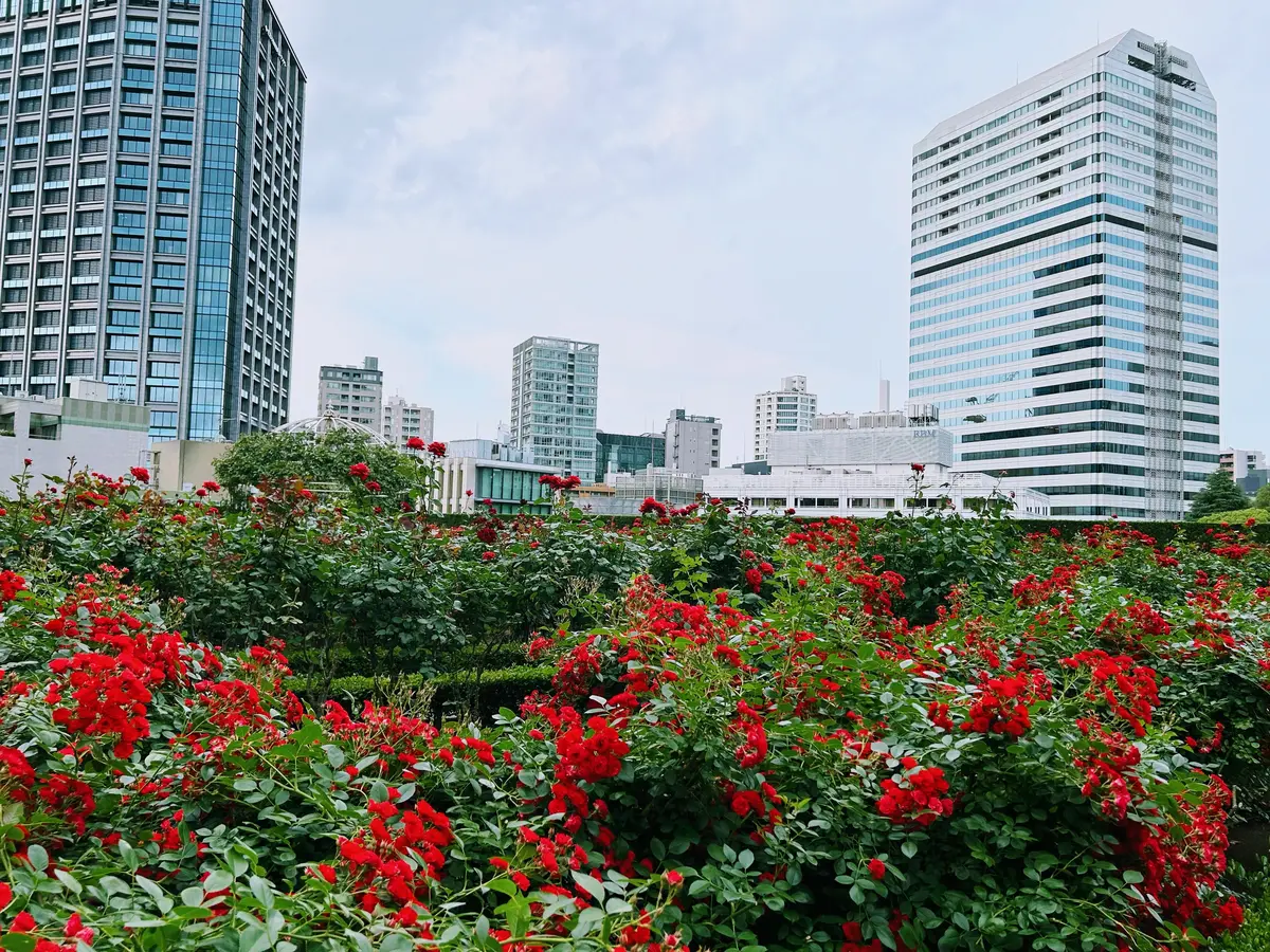 【東京都】ホテルニューオータニ『レッドロの画像_7