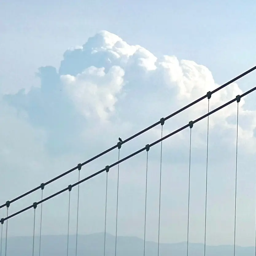 【静岡・三島】都内から1.5H！夢を飛ばの画像_1