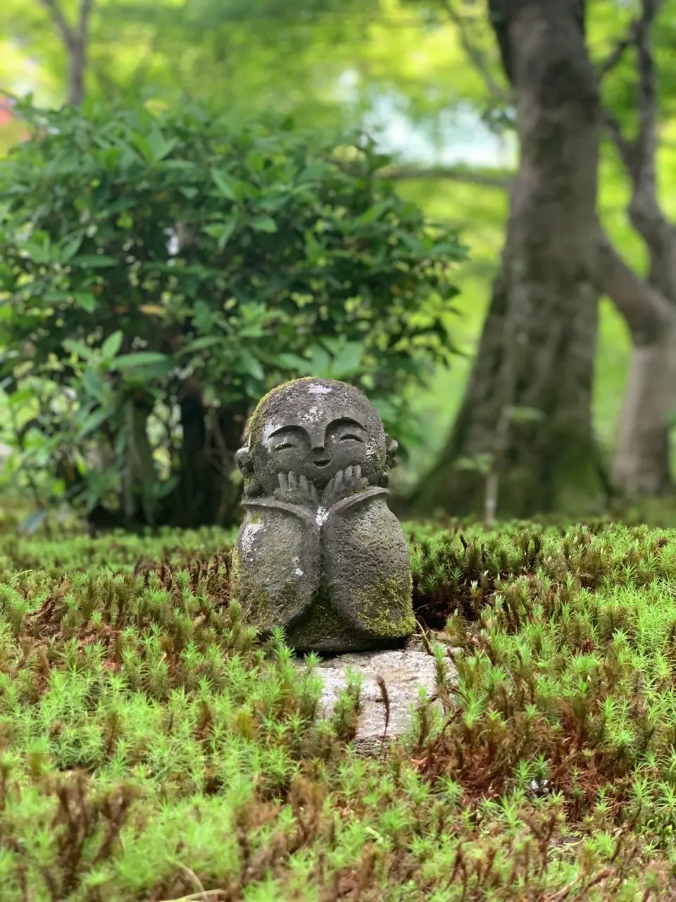京都「圓光寺」のお地蔵さん　苔　庭園