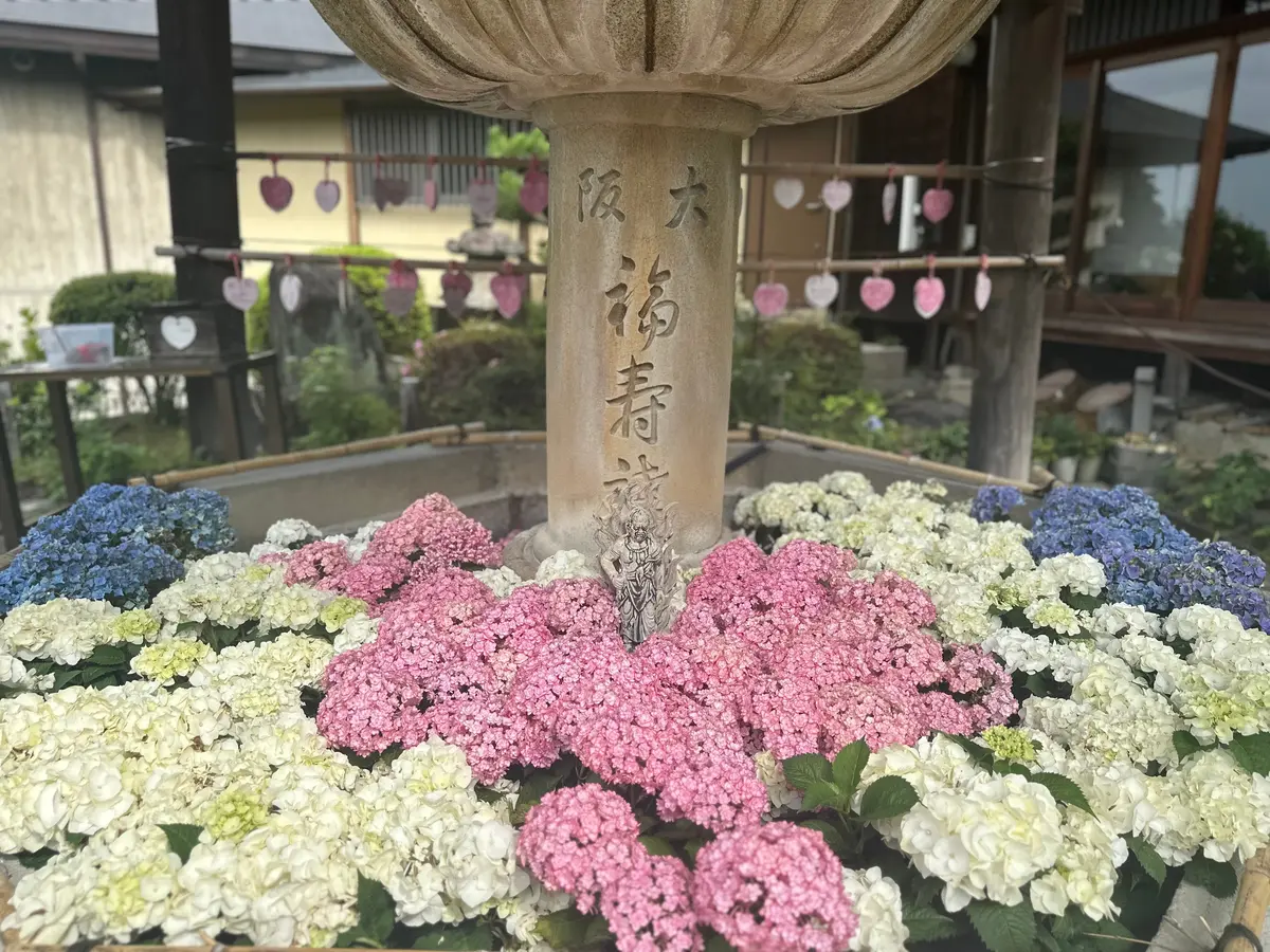 三室戸寺 花手水