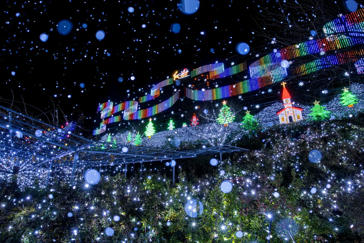 フラワーパークのクリスマス（クリスマスファンタジー）