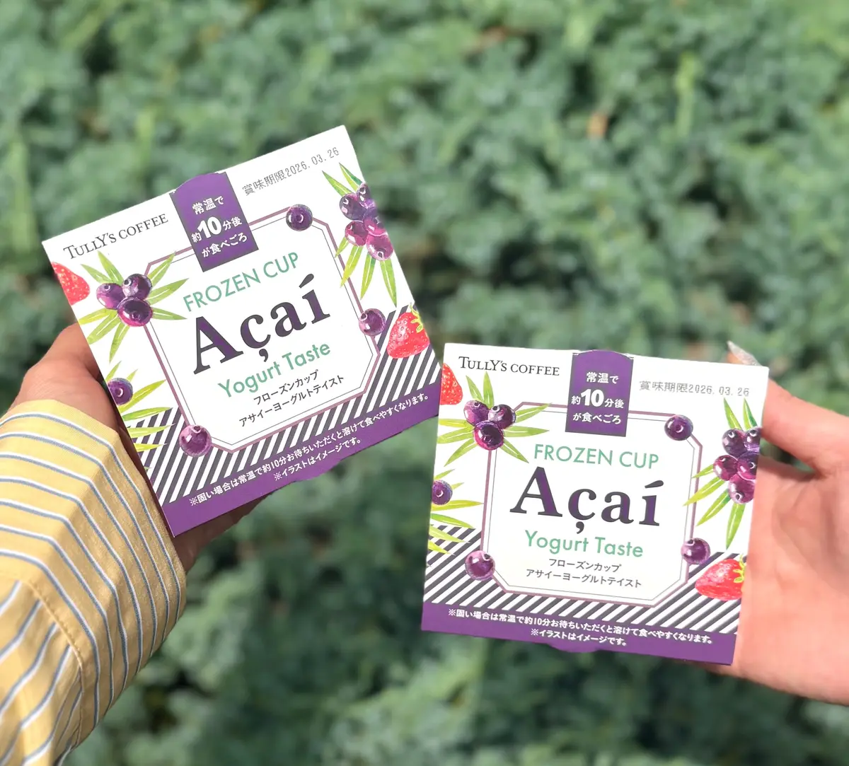 タリーズフローズンスイーツ「フローズンカップ アサイーヨーグルトテイスト」パッケージ
