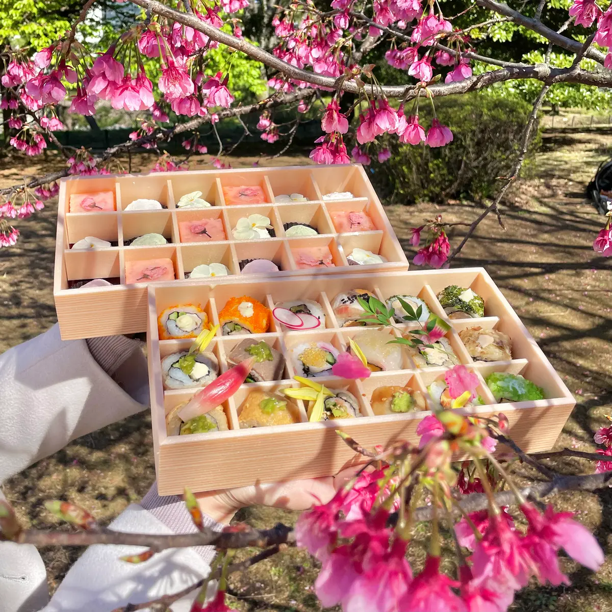 銀座「SHARI THE TOKYO SUSHI BAR」のロール寿司とスイーツが並ぶ“お花畑弁当”で楽しむ春のお花見