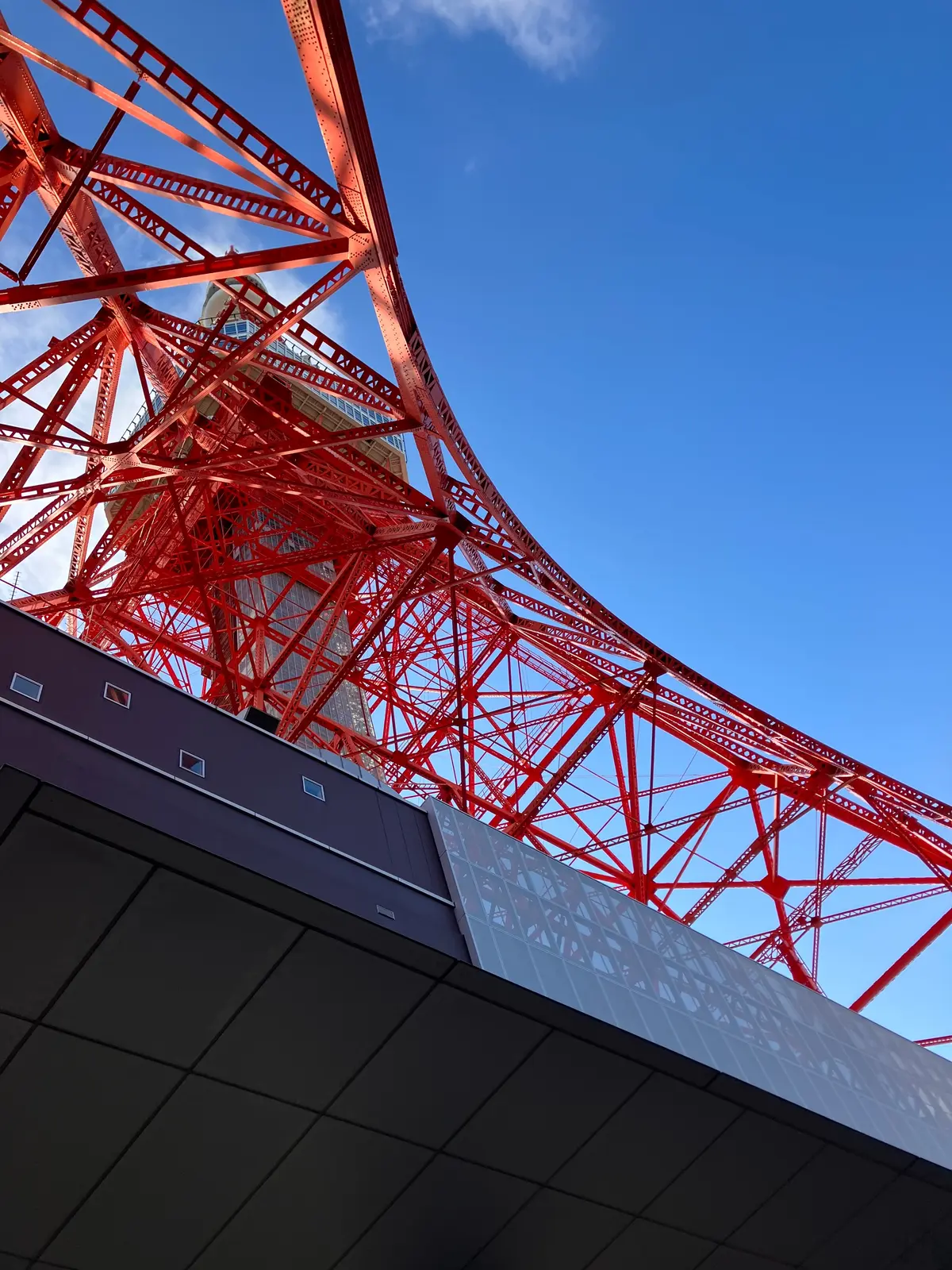 【東京タワー】やっぱり魅力的！東京のシンの画像_3