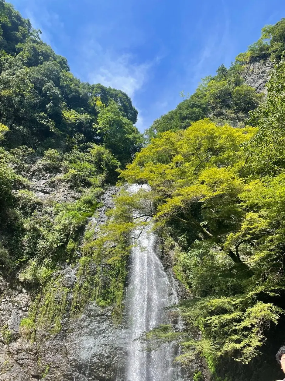 【大阪・箕面】滝だけじゃない箕面満喫プラの画像_4