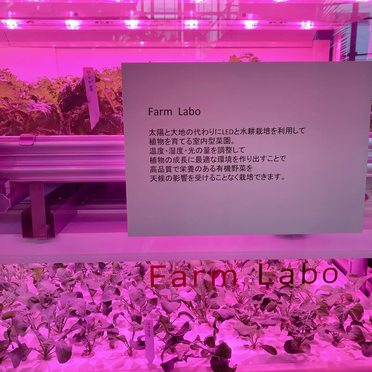 渋谷区ふれあい植物センター