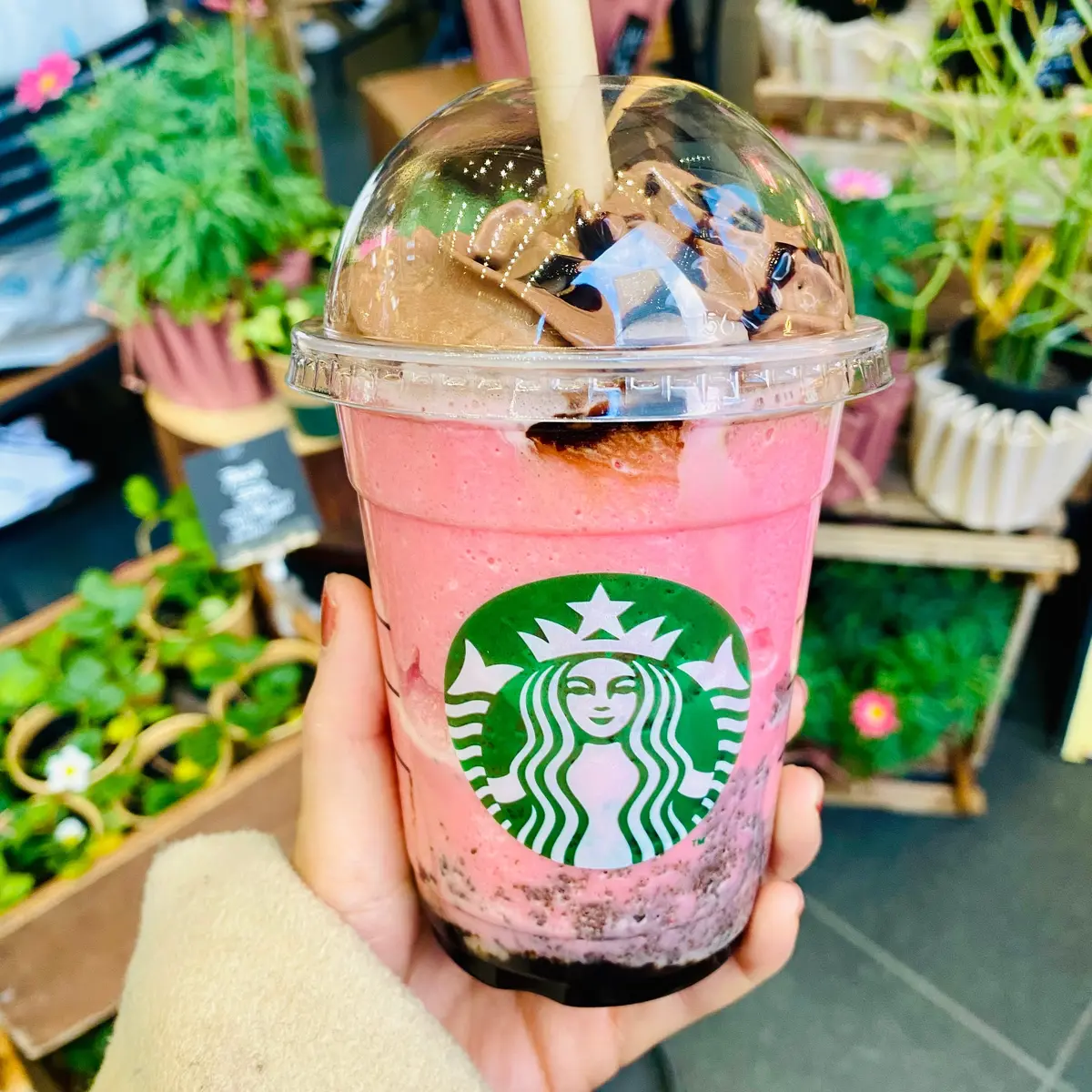 ルビーショコラシンフォニーフラペチーノ