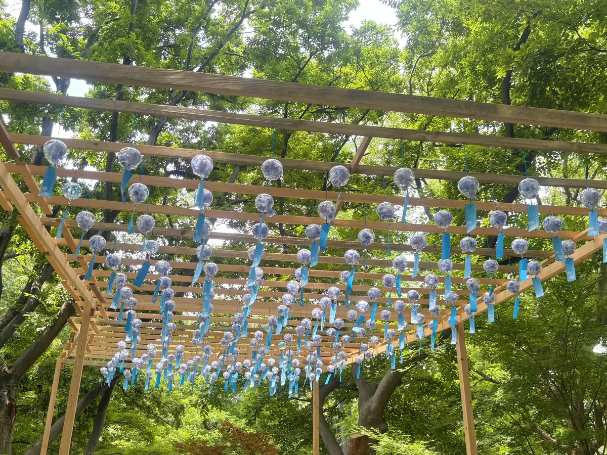 【映えスポットあり！】1万株のあじさいがの画像_4