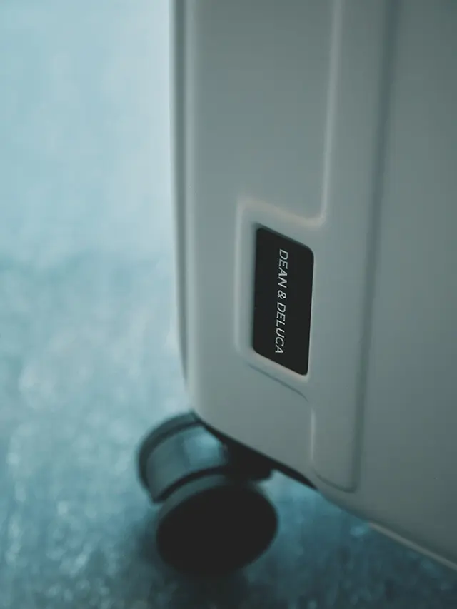 ディーン＆デルーカ　ブリーフィング　トラベルキャリーケース