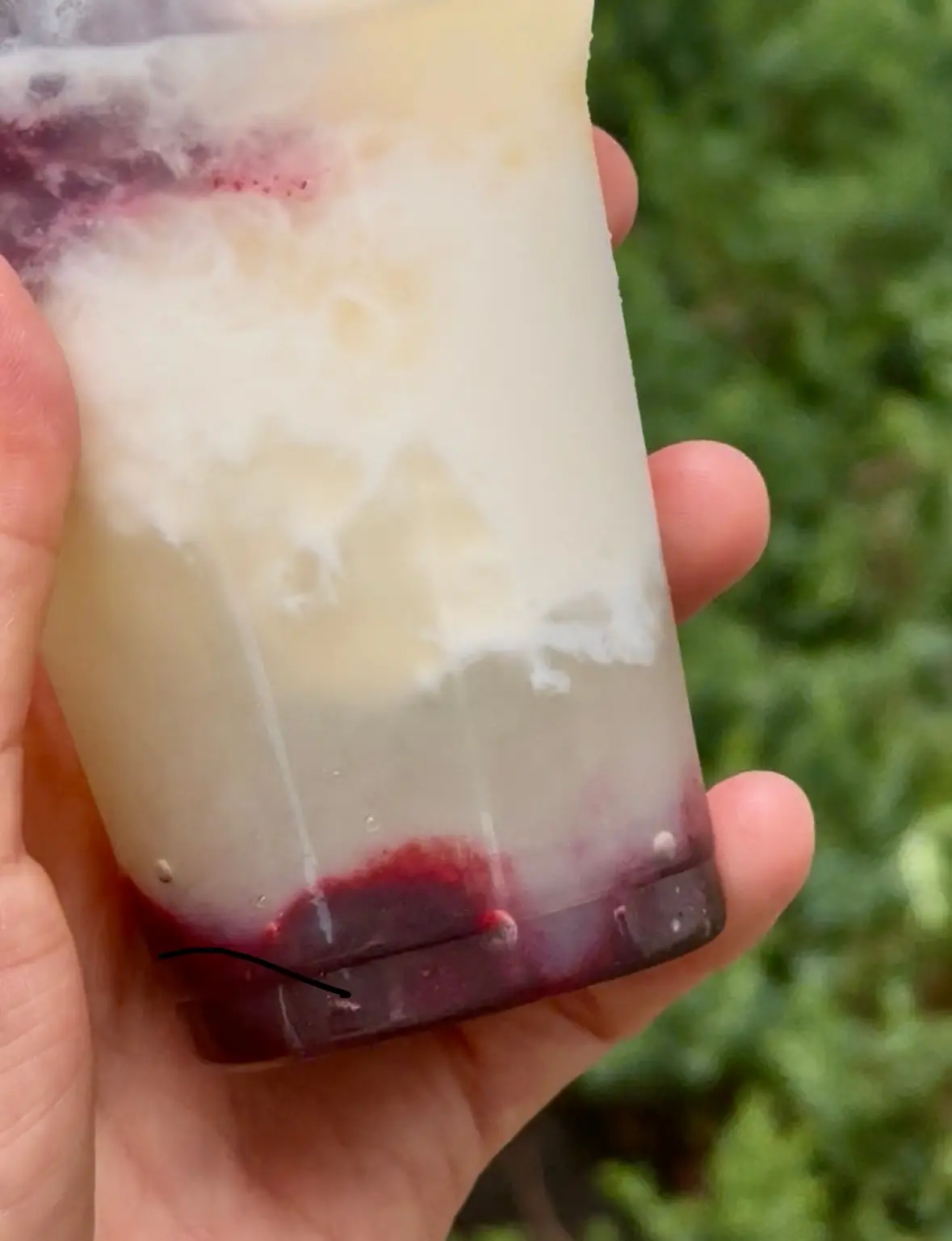 スタバのかき氷!? 『プリンチ(R)』のの画像_12