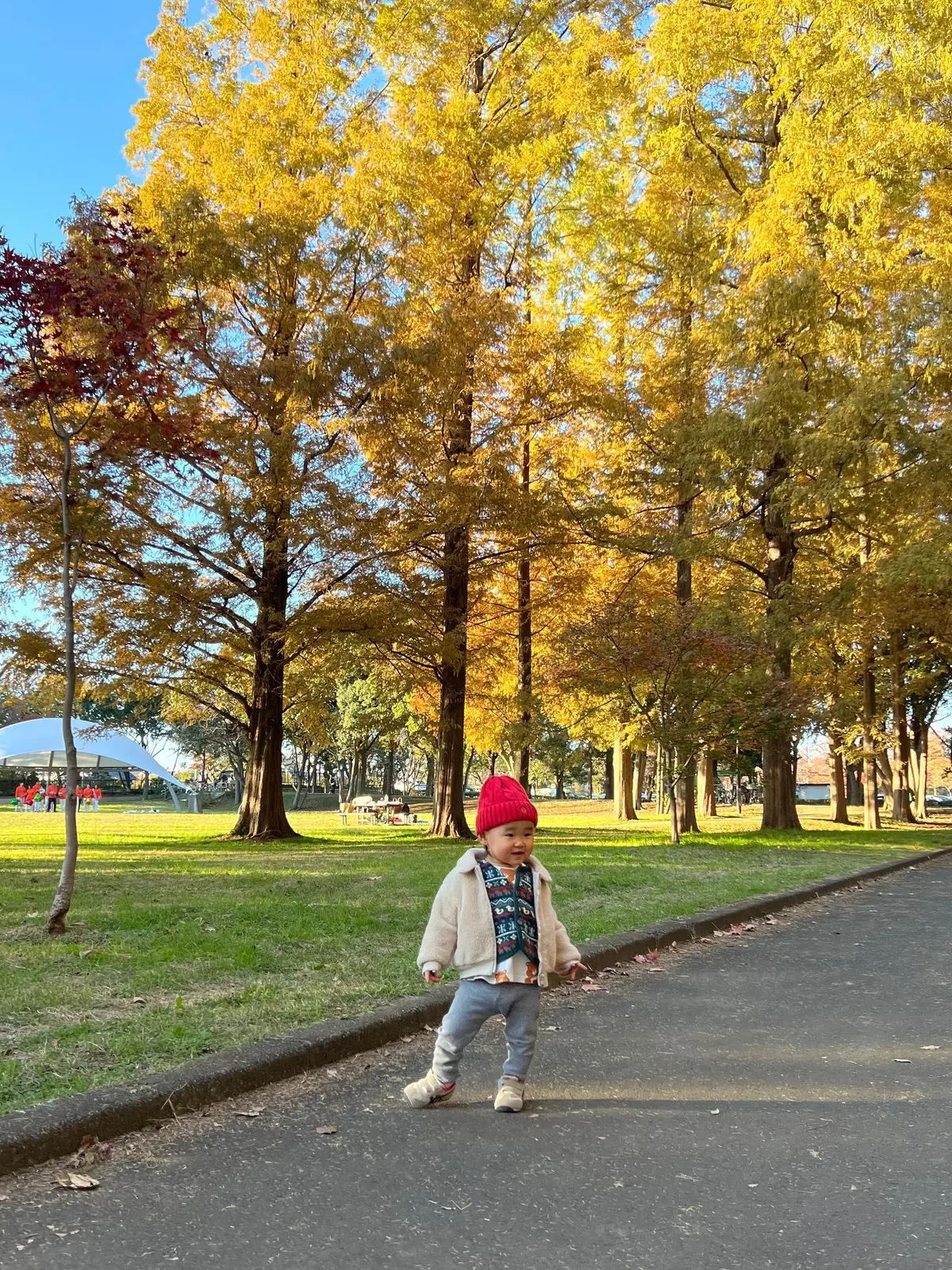 水元公園紅葉