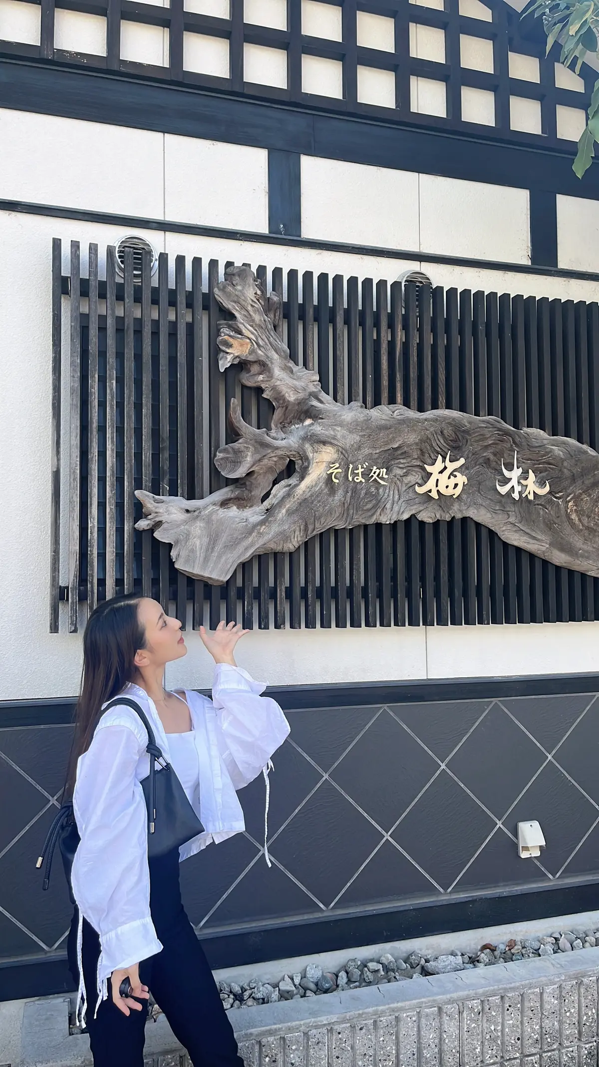 【地元・福井】話題の恐竜博物館行ってきまの画像_4