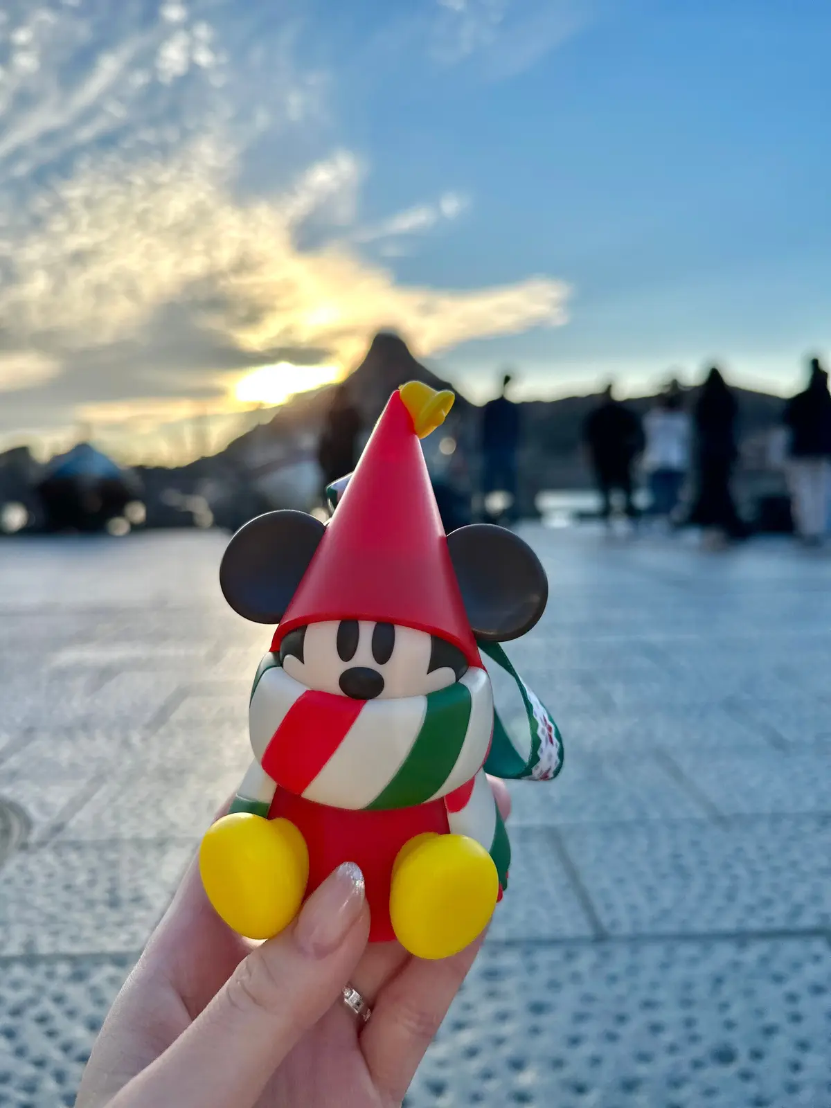 【TDL】Dオタ厳選！冬の完売必至グッズの画像_1