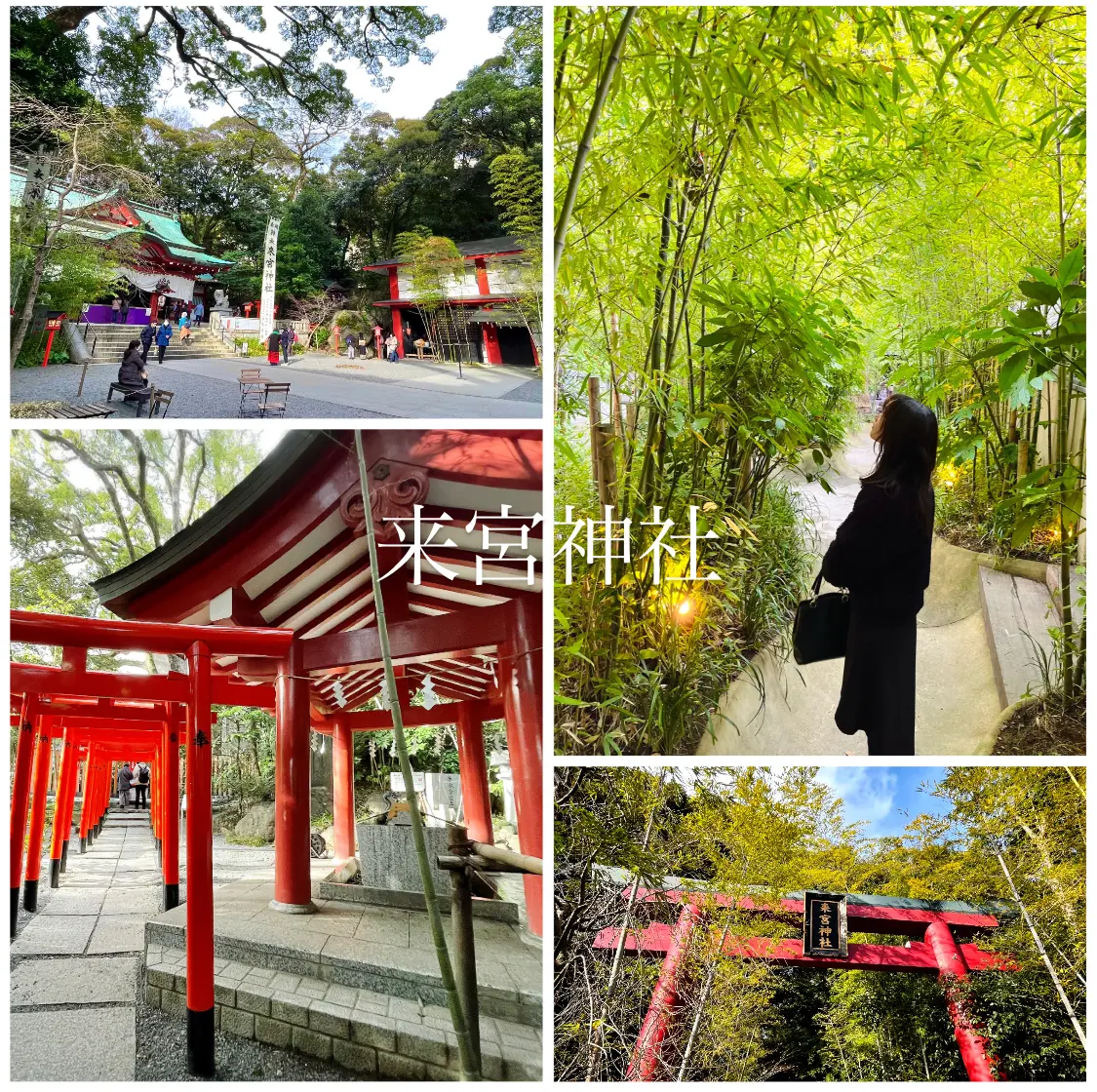 【静岡】熱海のパワースポット来宮神社˚✧の画像_1