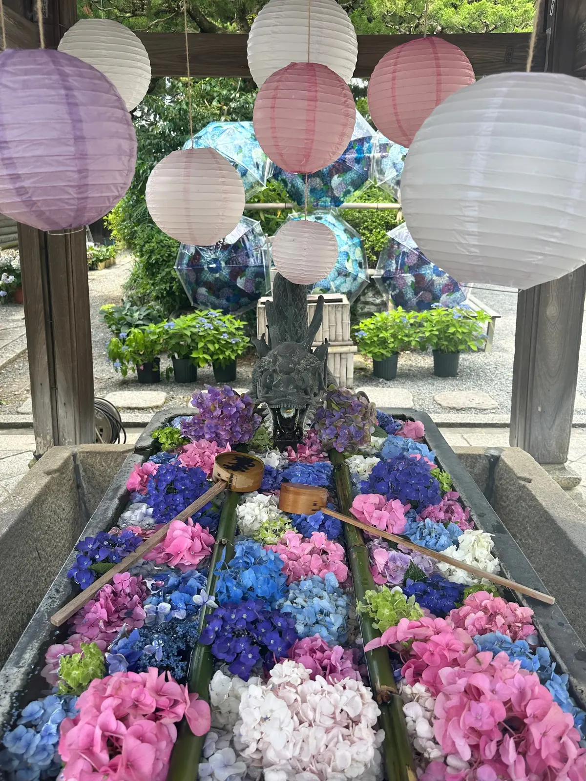 京都 柳谷観音楊谷寺 龍手水