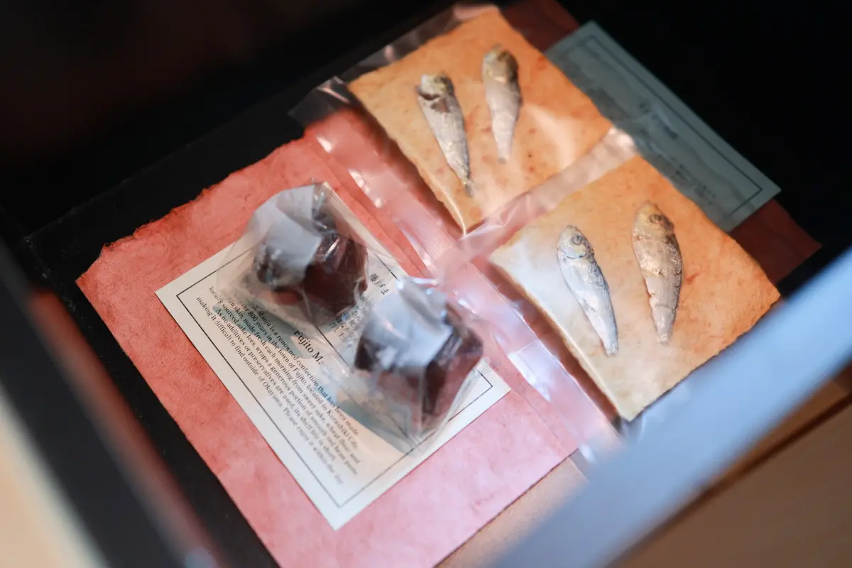 【岡山｜倉敷ホテル】おこもりステイにもぴの画像_21