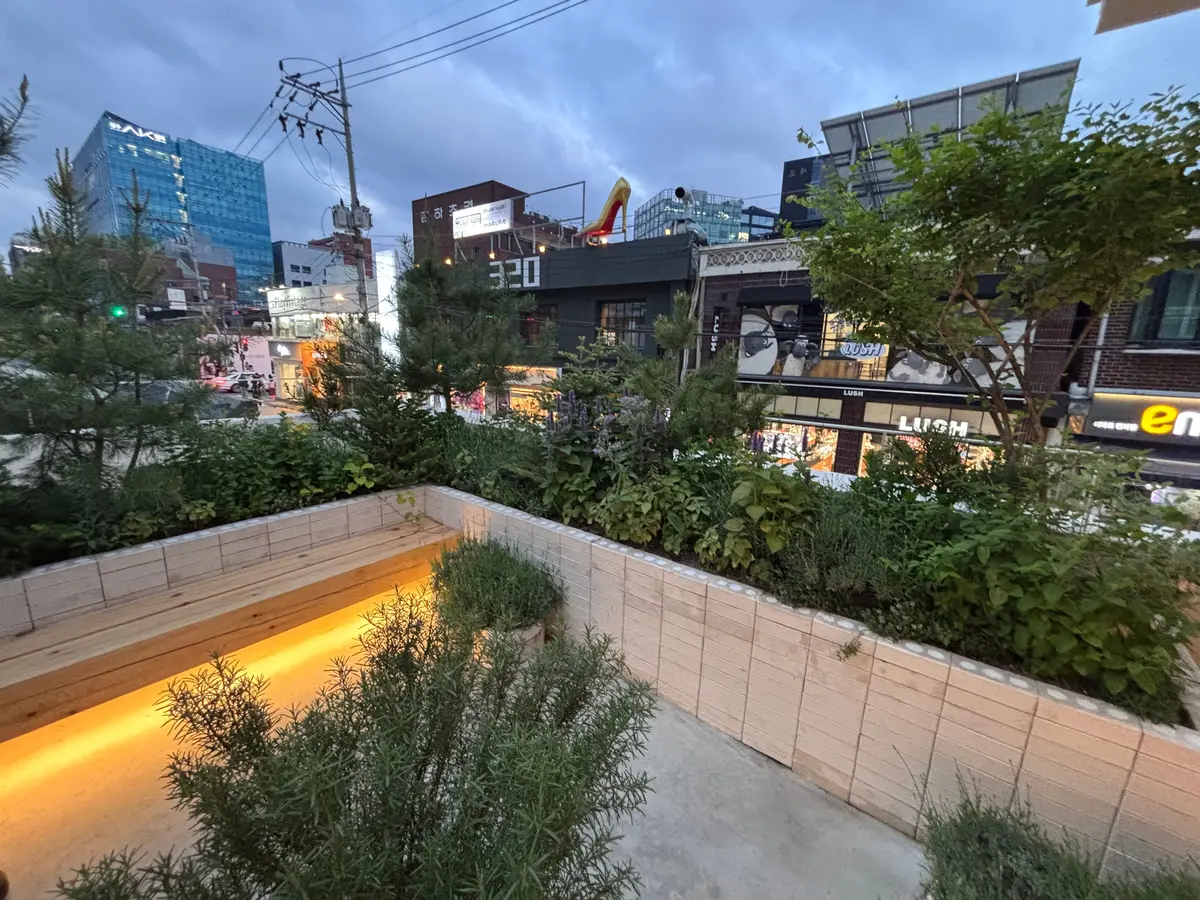 採集はテラスから