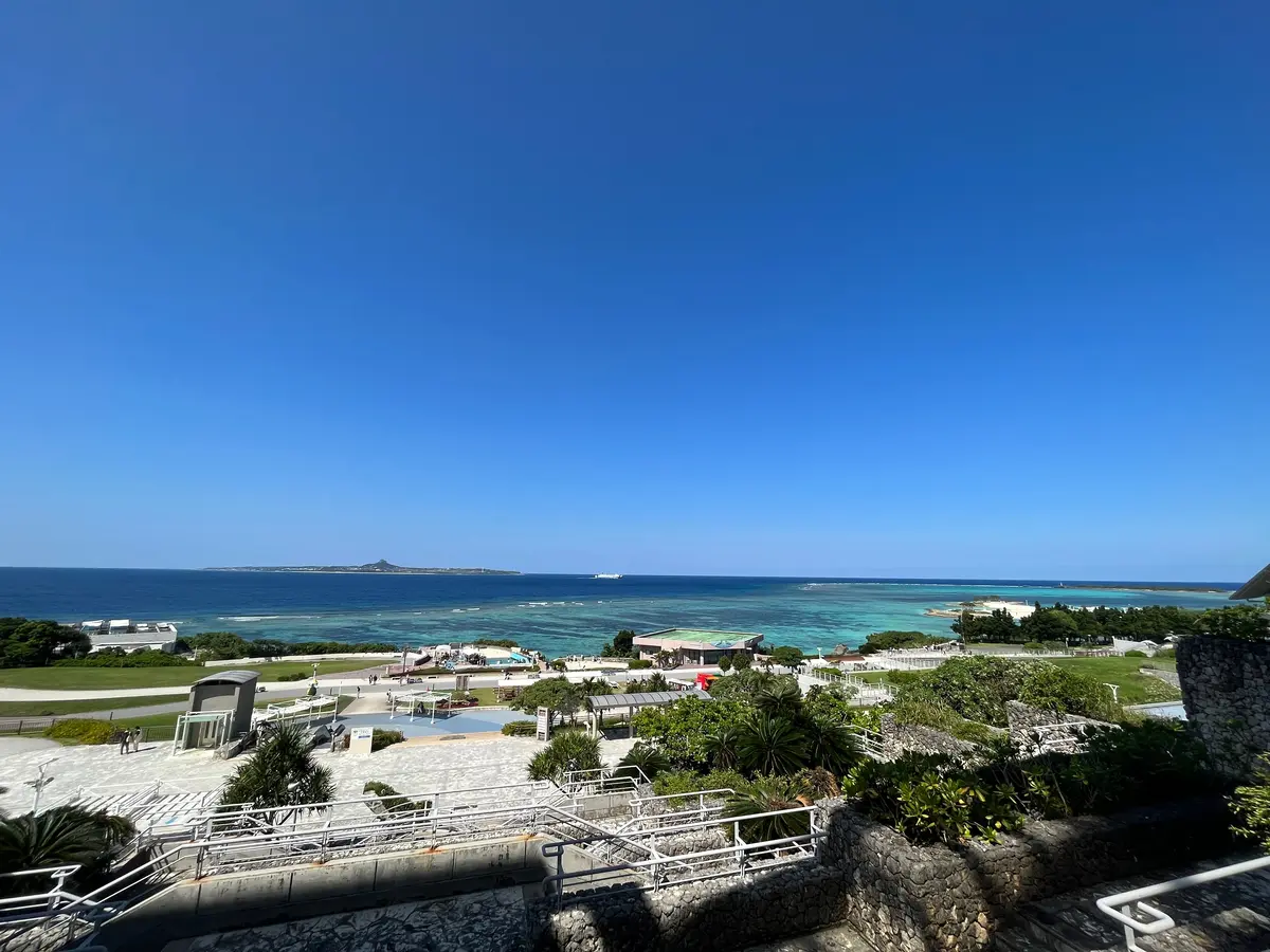 【沖縄】完全ガイド！沖縄美ら海水族館の魅の画像_4