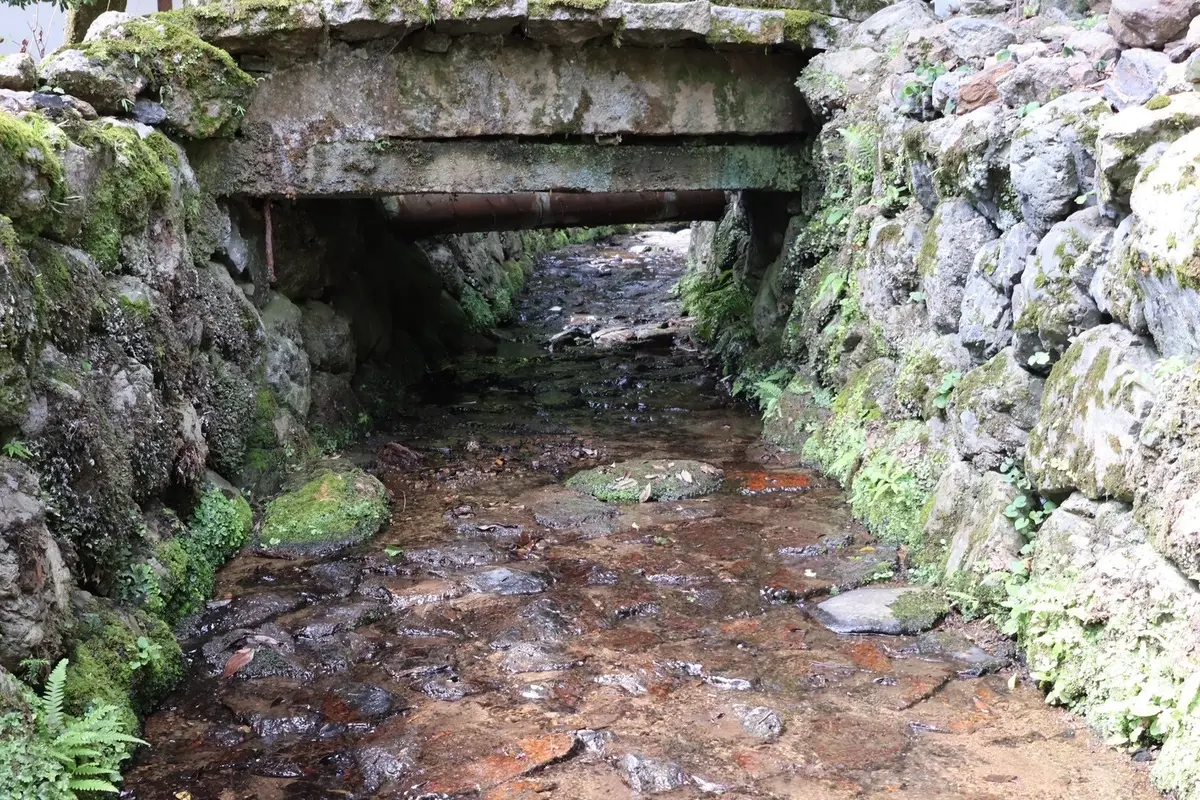 【夏映えスポット】風鈴で涼しげ！縁結びのの画像_7