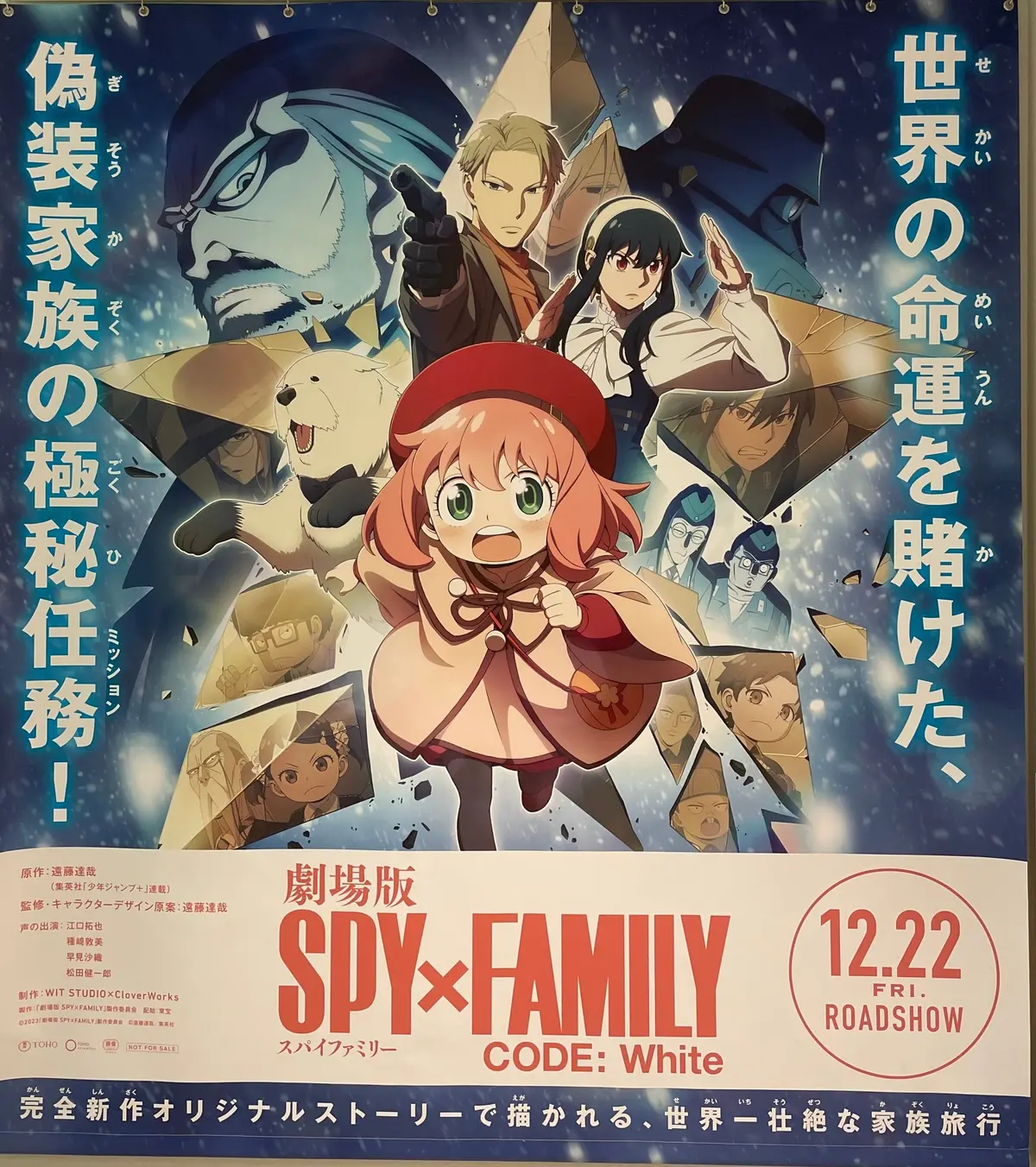 売れ筋がひ CODE: SPY×FAMILY 色紙 ジャンプ＋ 劇場版 スマート