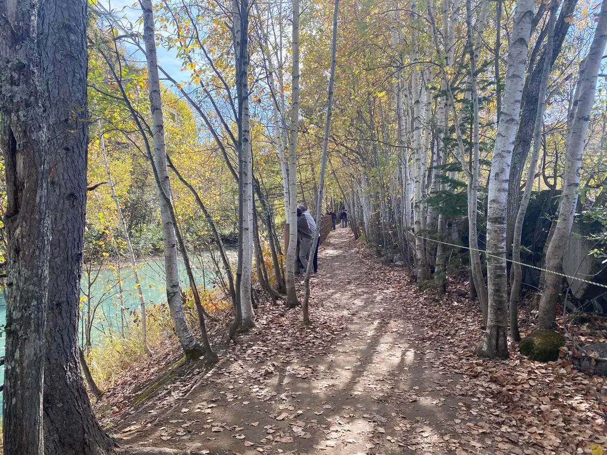 【北海道・美瑛（びえい）】紅葉とブルーのの画像_9