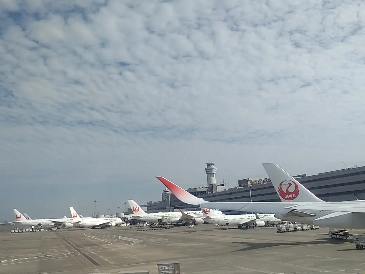 A350で福岡ひとり旅✈空の旅のしめは“の画像_5