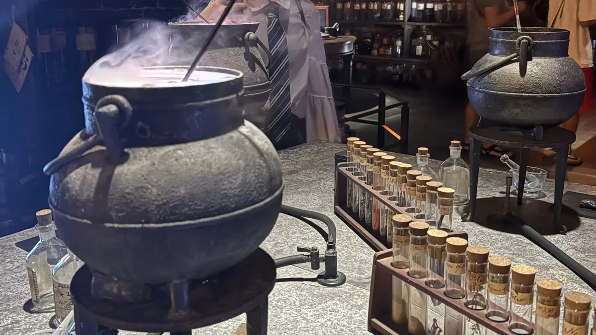 ツアー中：防衛術の教室