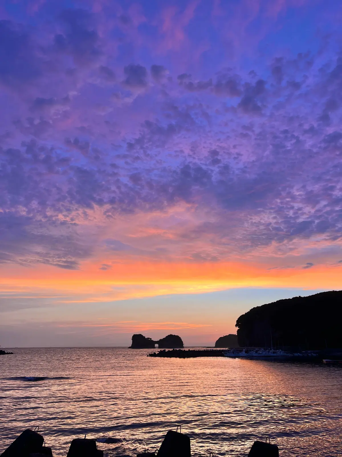 【和歌山｜白浜】chillをテーマにしたの画像_14