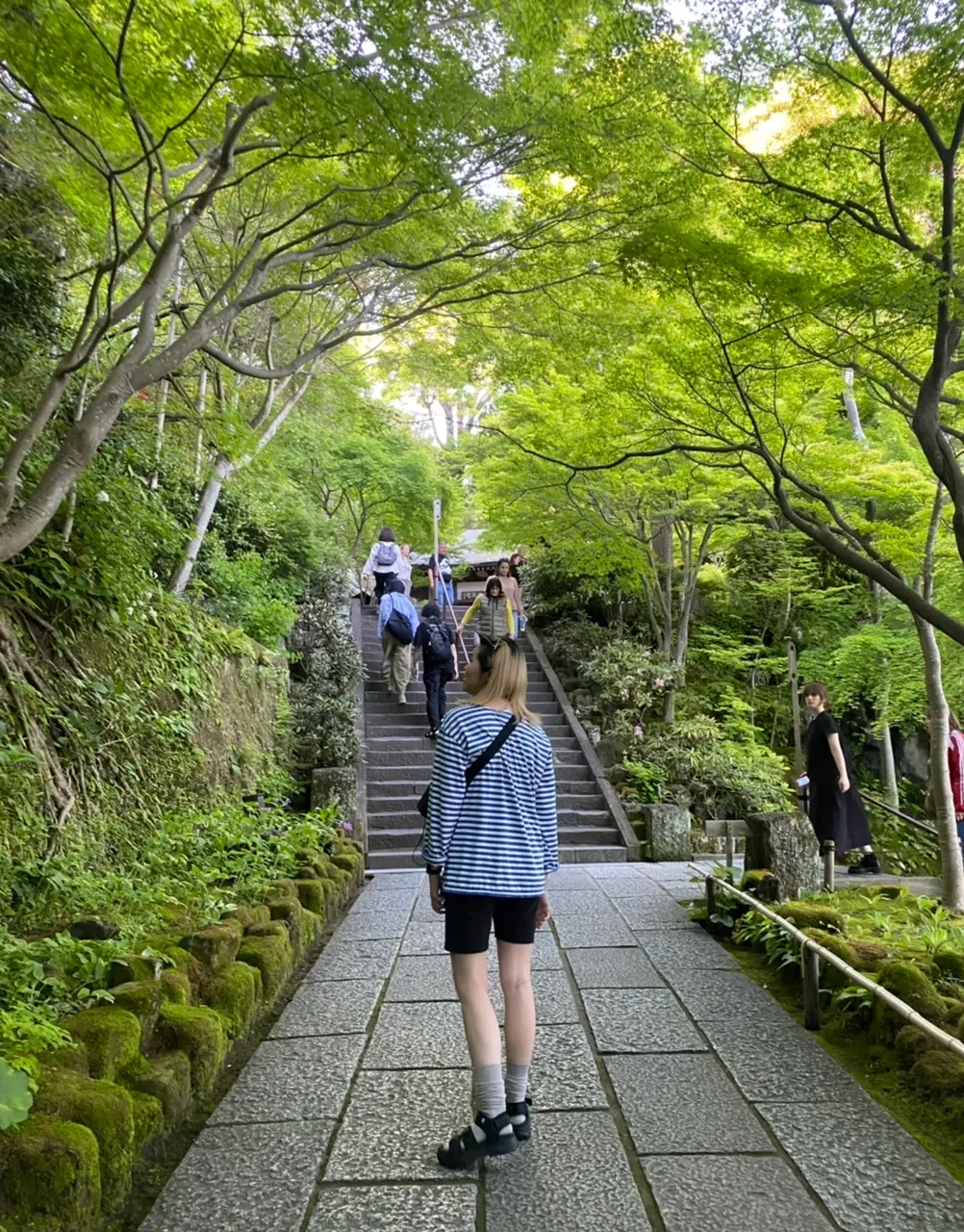 長谷寺の緑道