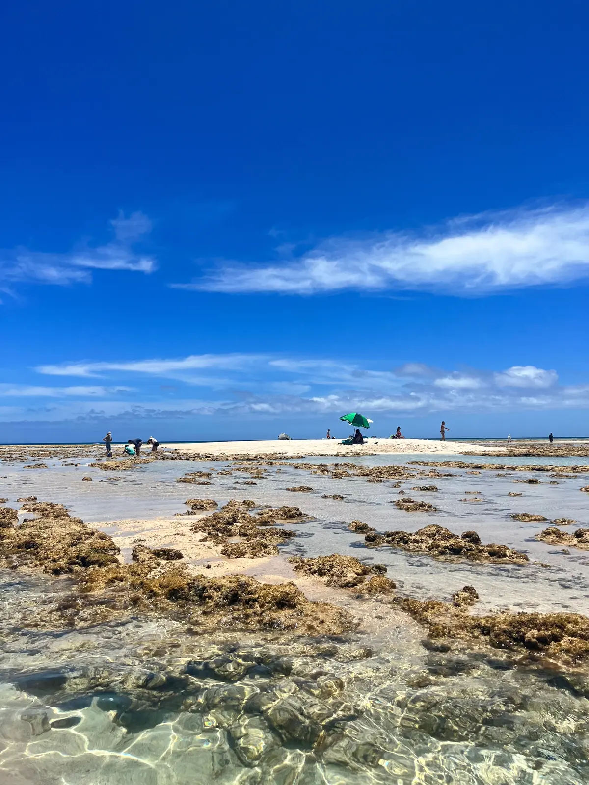 《鹿児島・与論島》逆写真詐欺すぎる圧倒的の画像_5