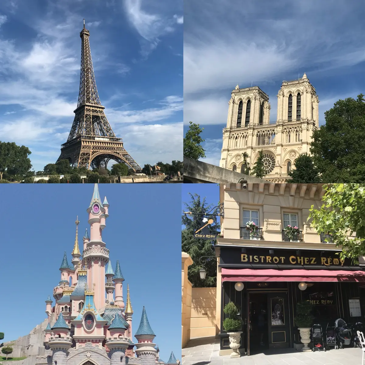 【自己紹介】第6期MOREインフルエンサの画像_5