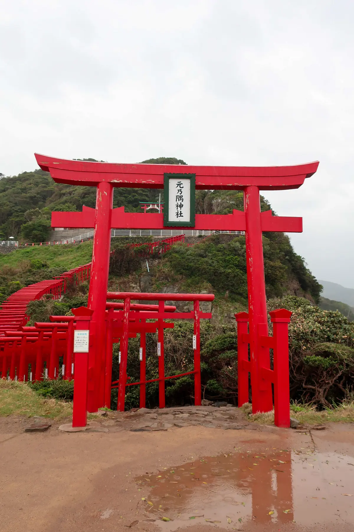 【山口県おすすめ観光コース】唐戸市場/角の画像_4