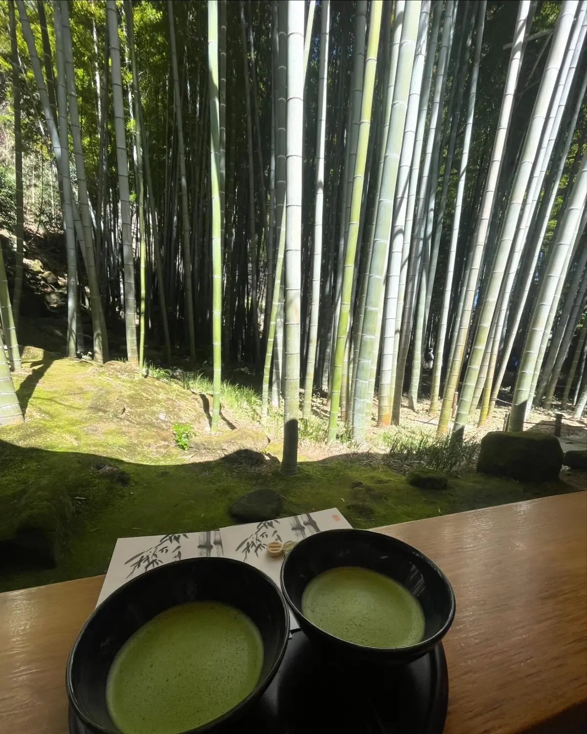 【鎌倉】竹林を眺めながらお抹茶と干菓子がの画像_3