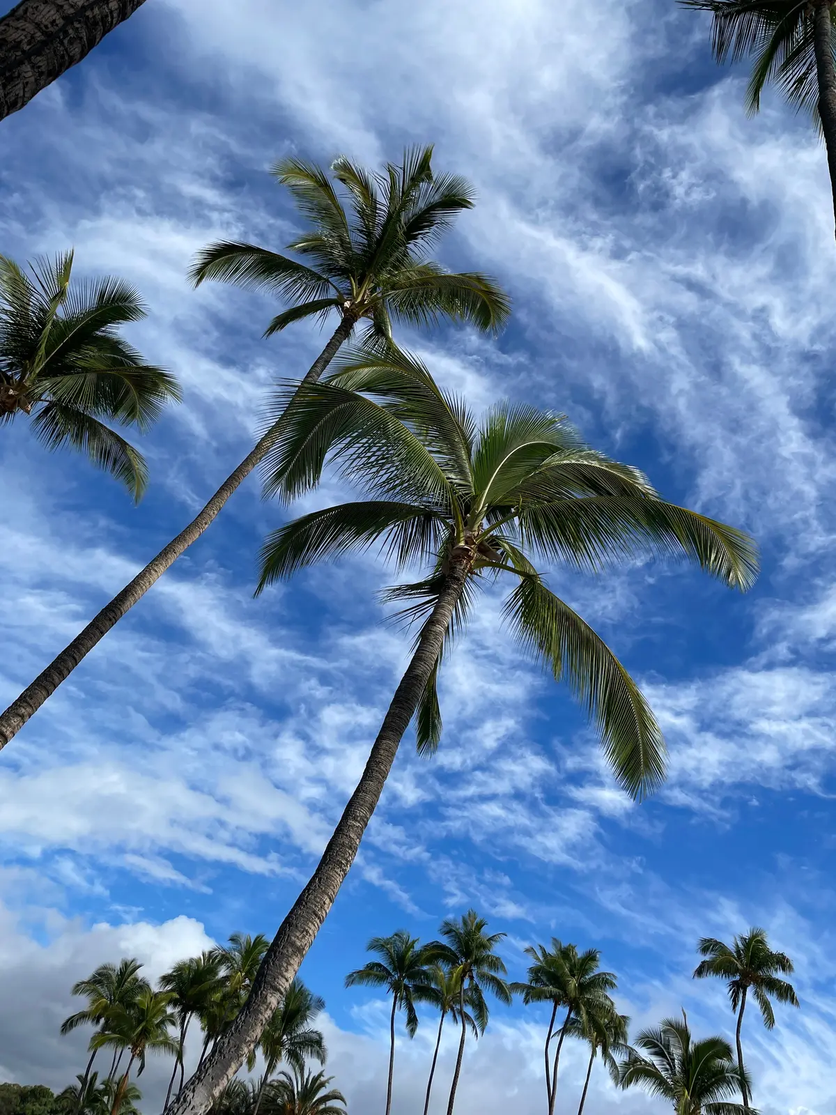 第6期もよろしくお願いします☺︎！の画像_2