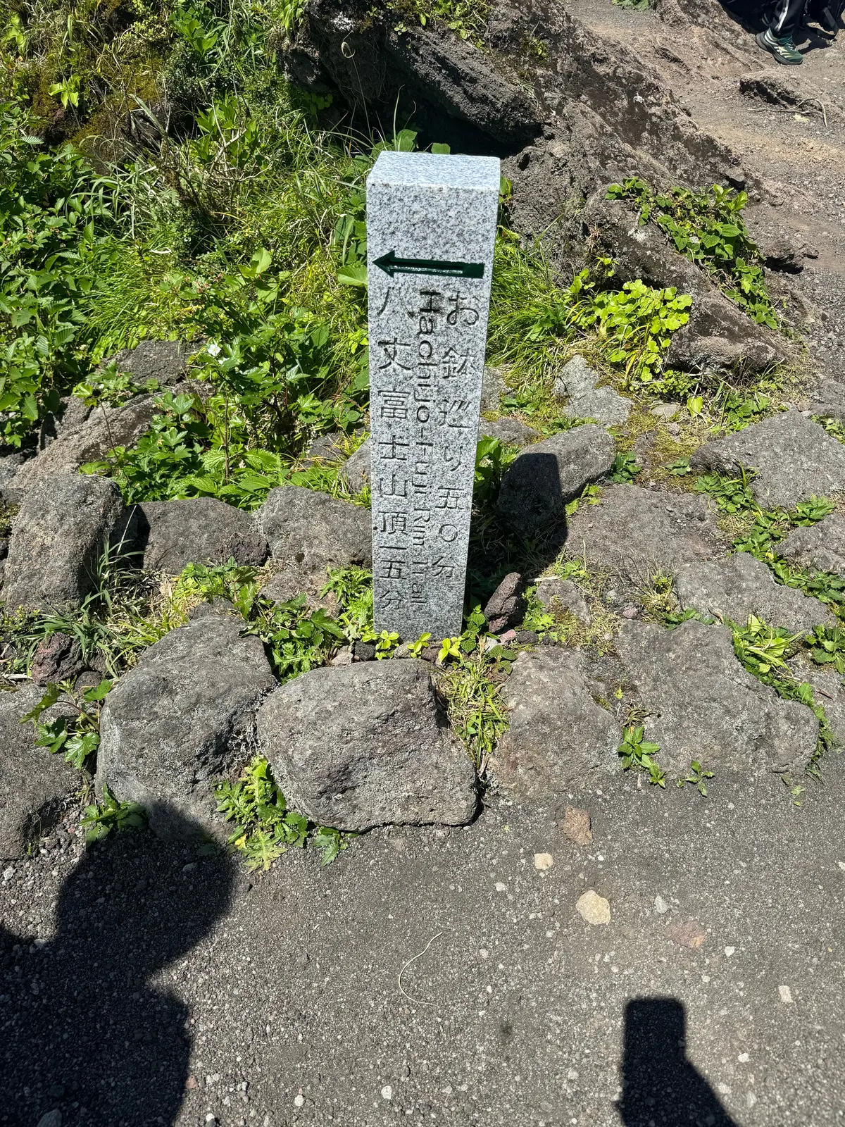 〈東京都・八丈島〉東京にある南国の島🏝️の画像_10