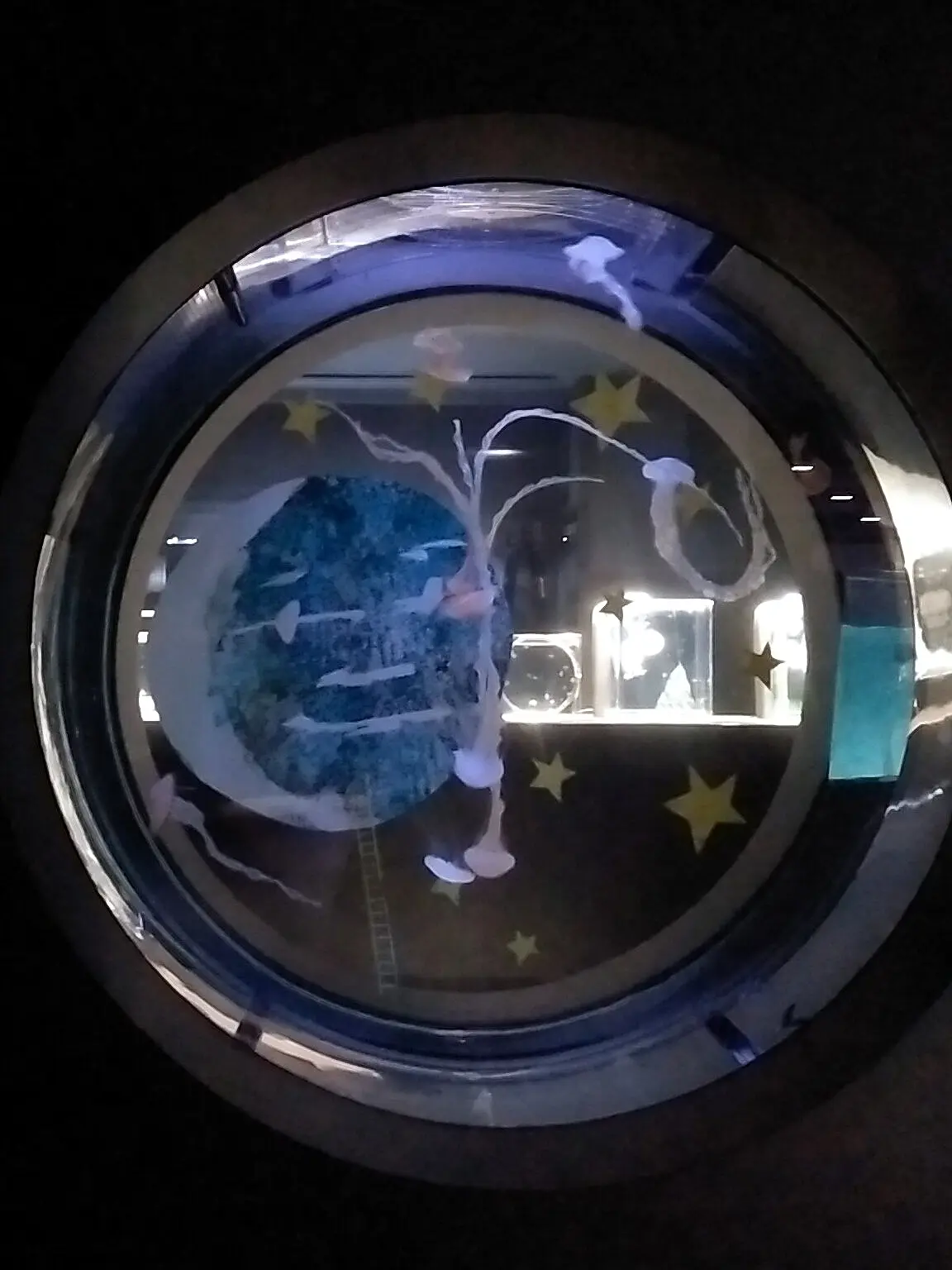 札幌女子旅に🐧AOAO水族館が最高の画像_4