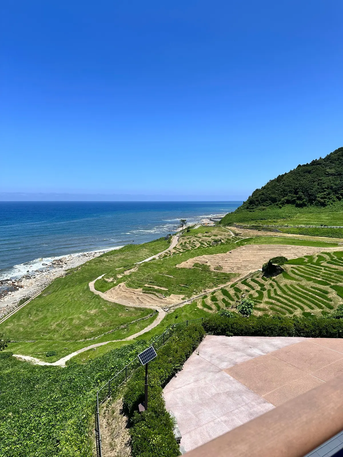 【石川県輪島市】震災後、白米千枚田はどうの画像_1