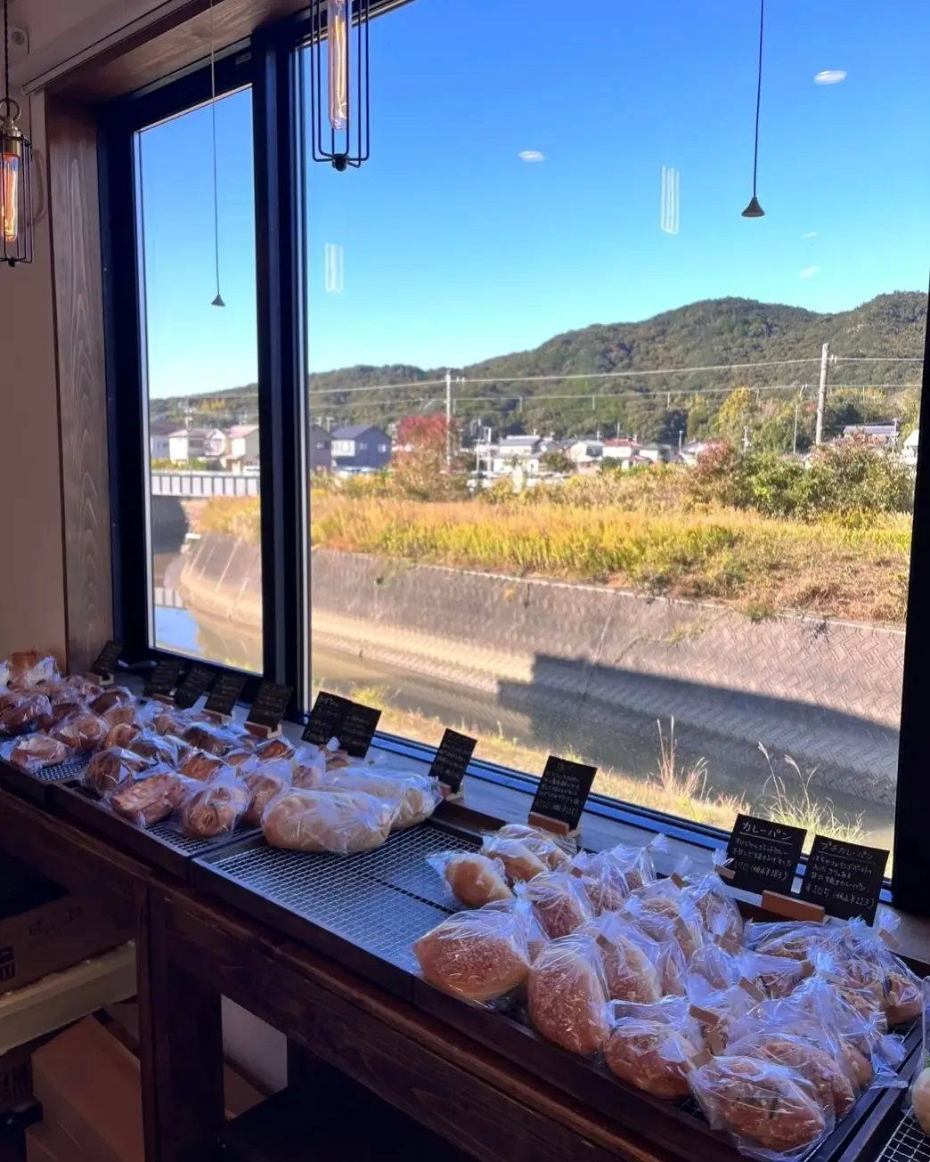 【和歌山】朝に行きたい!白浜でおすすめのの画像_6