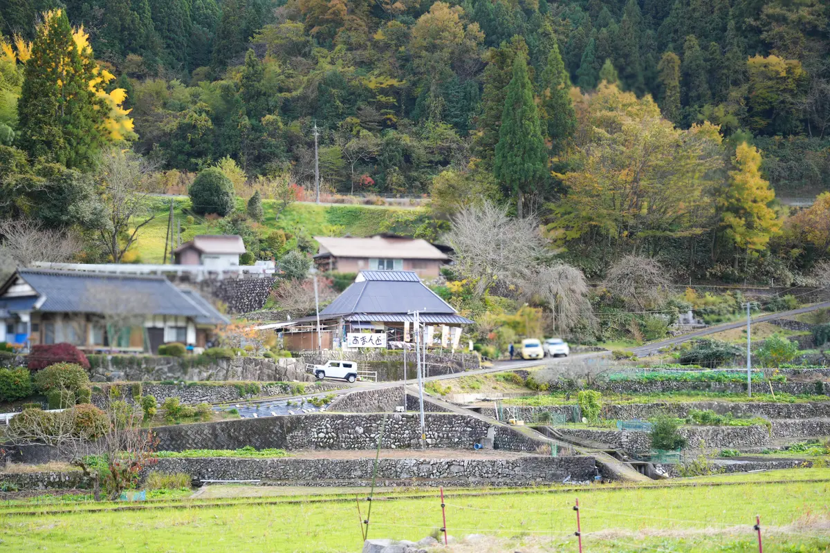 【広島県】ご当地B級グルメ「漬物焼きそばの画像_2