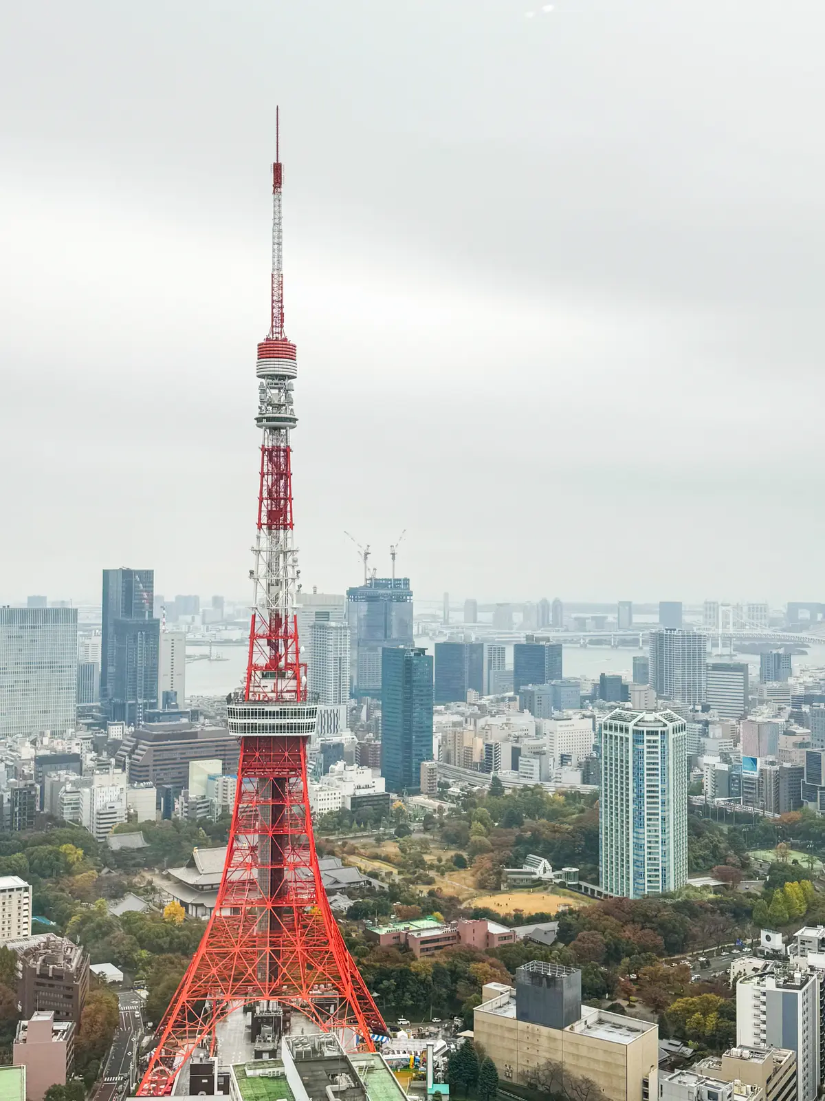 東京タワー　麻布台ヒルズ  麻布台ヒルズ 森JPタワー 34F スカイルーム　skyroom 東京タワー一望　おすすめスポット