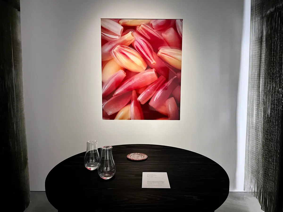 【京都】ISSEI MIYAKE KYOの画像_4