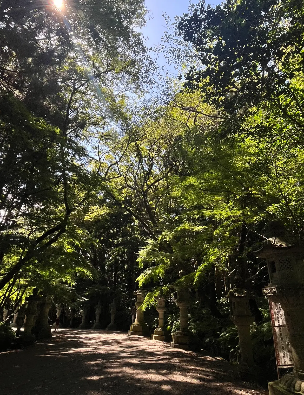 千葉_香取神社_パワースポット