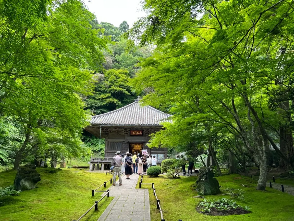 【日本三景】絶景！絶品！松島で楽しむおすの画像_2