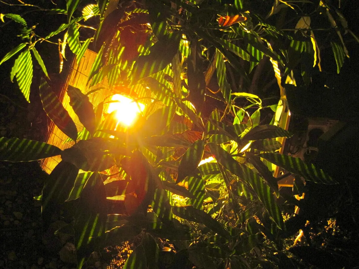 紅葉　円通院　松島
