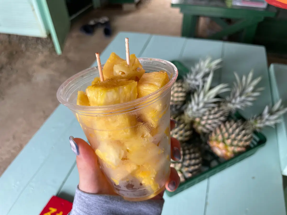 【沖縄県・石垣島】パイナップル🍍パインジの画像_2